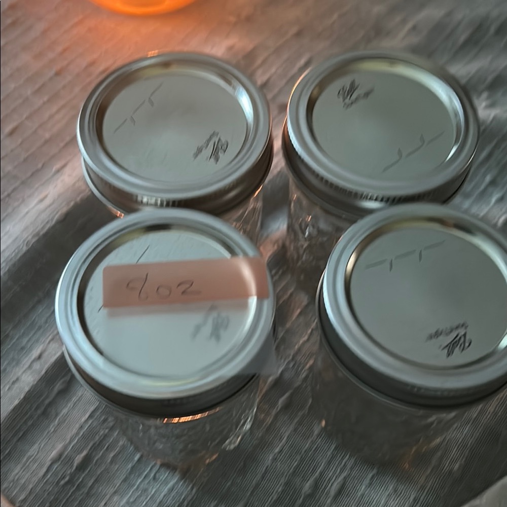 Set of 4 Clear Glass Mason Jars with Silver Lids